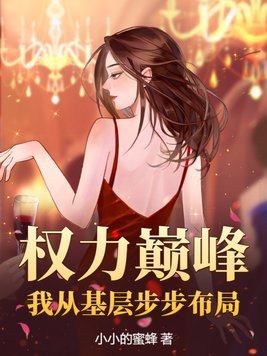 权力巅峰小说