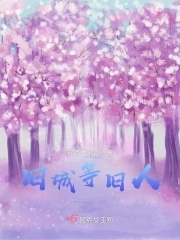 旧人旧城旧回忆什么意思