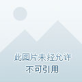 总裁的初恋