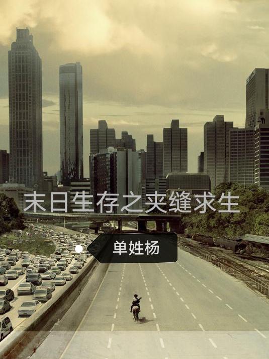 夹缝生存的小说集百度云