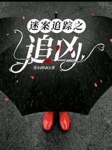 迷案追凶第一季