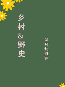 乡村野光6集电视剧