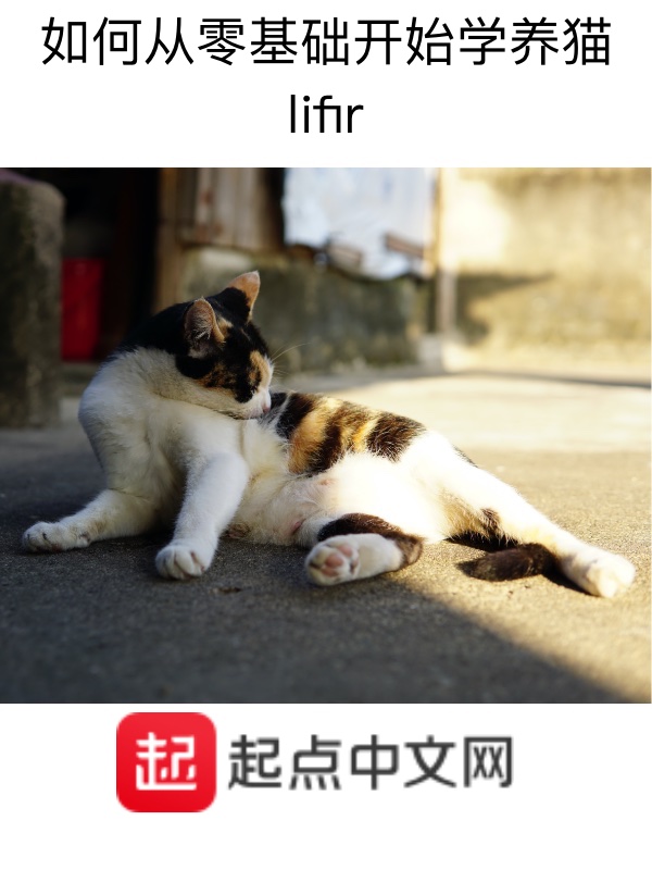 如何从零基础开始学英语到四级