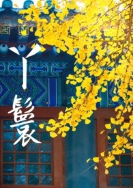 丫鬟和侍女的区别